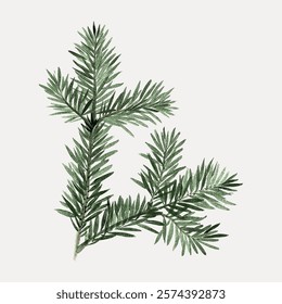 Japanese fir branch vintage illustration, vintage vector element. Plant leaf nature illustration. Vintage plant leaf art drawing illustration, old style nature painting art print.