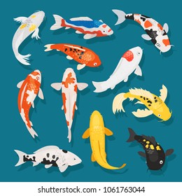 Japanese fish vector illustration carp and colorful oriental koi in Asia set of Chinese goldfish and traditional fishery isolated background