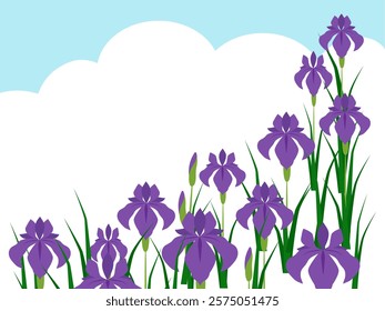 It's Japanese flower irises and sky frame.