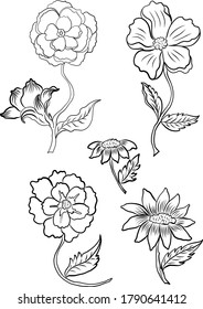 Japanese flower for tattoo design on background.Peony flower for printing on shirt.Floral for doodle art and coloring book on white isolated background.Peony vector illustration for tattoo style.Thai.