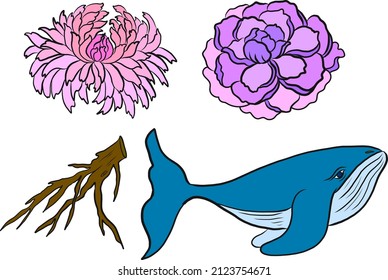 Japanese flower and Whale illustration on white background.