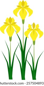 It's Japanese flower yellow irises.