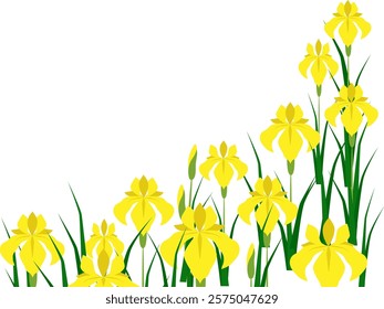 It's Japanese flower yellow irises frame.