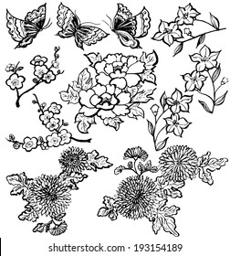 Japanese flowers. brushstroke illustrations.