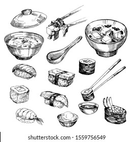 Japanese food, sushi, miso soup. Sketch. Hand drawn illustration converted to vector. Isolated on white background