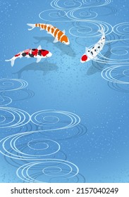 Japanese freshwater fish Nishiki-koi swimming
