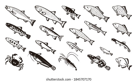 Japanese freshwater fish vector illust set