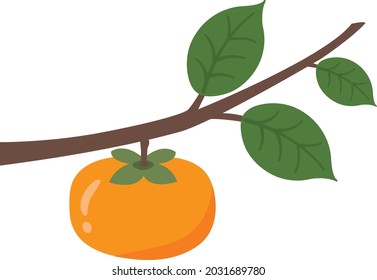 Japanese fruit illustration
Persimmon
Autumn taste