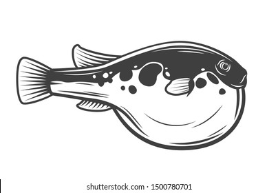 Japanese Fugu fish, isolated pufferfish. Vector poisonous fish with puffed stomach, exotic toxic marine animal. Seaweed, Japanese cuisine delicacy, bogeo or bok porcupine fish