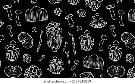 Japanese fungus wallpaper. Asian mushrooms pattern on black background. Hand drawn medicinal mushrooms. Illustration of Shimeji, erinji, shitaki, cordyceps, turkey tail and lions mane. 