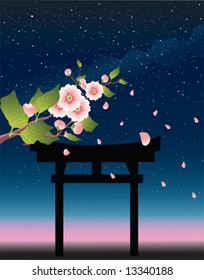 Japanese garden at night
