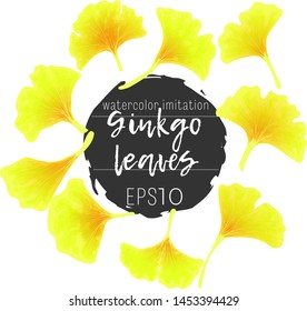 Japanese Ginkgo autumn leaves collection hand draw vector watercolor imitation illustration. Set organic medicine herb biloba leaf on white background