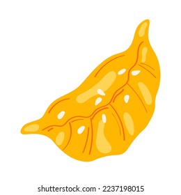 Japanese gyoza dumplings (potstickers). Vector illustration