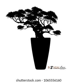 Japanese hawthorn bonsai, Black silhouette of bonsai. Detailed image. Vector illustration.