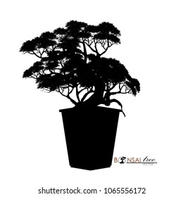 Japanese hawthorn bonsai, Black silhouette of bonsai. Detailed image. Vector illustration.