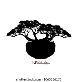Japanese hawthorn bonsai, Black silhouette of bonsai. Detailed image. Vector illustration.