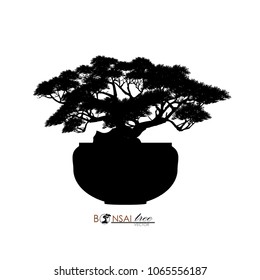 Japanese hawthorn bonsai, Black silhouette of bonsai. Detailed image. Vector illustration.
