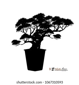 Japanese hawthorn bonsai, Black silhouette of bonsai. Detailed image. Vector illustration.