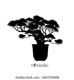 Japanese hawthorn bonsai, Black silhouette of bonsai. Detailed image. Vector illustration.