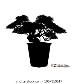 Japanese hawthorn bonsai, Black silhouette of bonsai. Detailed image. Vector illustration.