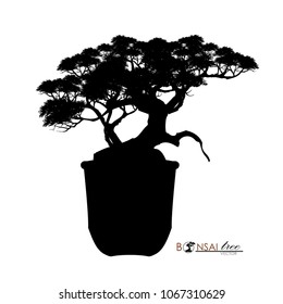 Japanese hawthorn bonsai, Black silhouette of bonsai. Detailed image. Vector illustration.
