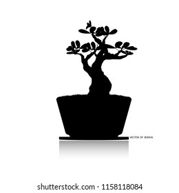 Japanese hawthorn bonsai, black silhouette of bonsai. Detailed image, Vector illustration. Dwarf trees for design and website. Mini tree in pot. 