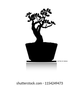 Japanese hawthorn bonsai, silhouette of bonsai. Detailed image, Vector illustration. Dwarf trees for design and website. Mini tree in pot. 