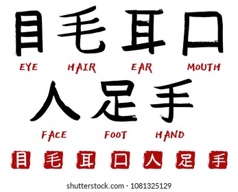 Japanese hieroglyphs and stamps(in japanese-hanko) vector set. Japan kanji calligraphy sign and their translation. Chinese writing - face, foot, hand, mouth, eye, hair, ear