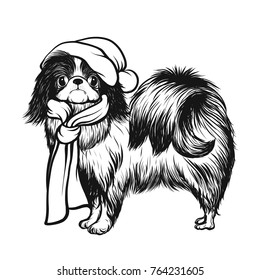 Japanese Hin dog in a Santa Claus hat. Stock vector illustration.