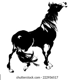 Japanese horse