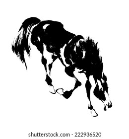 Japanese horse