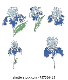 Japanese Iris flower set.hand drawn and painting iris flower.