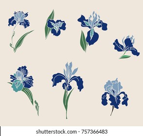 Japanese Iris flower set.hand drawn and painting iris flower.