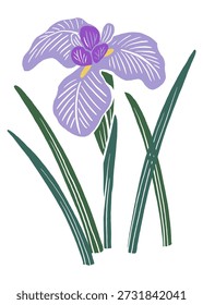 Japanese Iris Vector Illustration | Early Summer Flower and Children’s Day