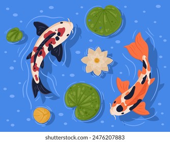 Japanese koi carp fish in pond. Swimming koi carp fish, cute asian fish koi, swimming carps flat vector illustration. Oriental colorful koi fish