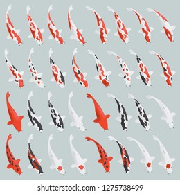 Japanese koi carp set. Vector.