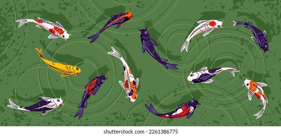 Japanese koi carps swimming in oriental pond. Japan fishes in water, above top view. Chinese eastern orient aqua fortune animals group with color patterns, goldfish. Panorama flat vector illustration