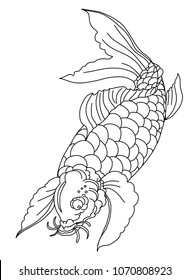 Japanese Koi crap isolate on white background.outline carp fish for tattoo idea.