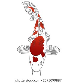 Japanese Koi Fish Illustration — Elegant Red and White Nishikigoi Art