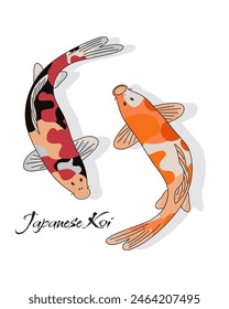 Japanese Koi fish isolated on white background. Carp fish from Japan. Hand drawn vector eps.