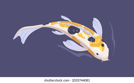 Japanese koi fish swimming in Asian garden pond. Chinese decorative spotty carp in water. Top view of oriental aquatic animal in Japan. Colored flat vector illustration