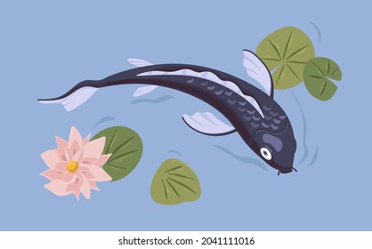 Japanese koi fish swimming in Asian pond with flower. Decorative carp in Japan water garden. Traditional oriental aquatic animal with waterlily and leaves. Colored flat vector illustration