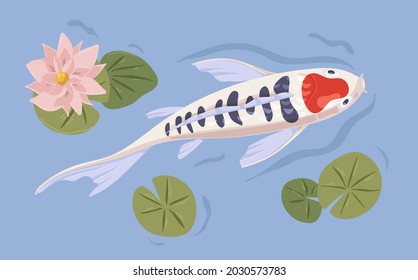 Japanese koi fish swimming in garden pond with waterlily and nuphar. Japan traditional carp in water with Asian flower plant. Top view of Chinese aquatic animal. Colored flat vector illustration