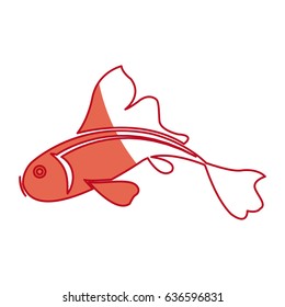 japanese koi fish traditional animal shadow