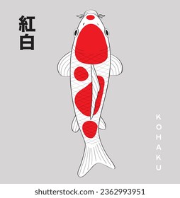 logotipo de ilustración del vector del pez koi japonés. Hay caracteres japoneses para el nombre de la especie de pescado koi en la esquina de la imagen, que significa KOHAKU.