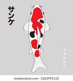 logotipo de ilustración del vector del pez koi japonés. Hay caracteres japoneses para el nombre de la especie de pez koi en la esquina de la imagen, que significa SANKE.