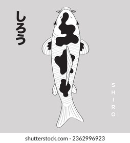 logotipo de ilustración del vector del pez koi japonés. Hay caracteres japoneses para el nombre de la especie de pez koi en la esquina de la imagen, que significa SHIRO.