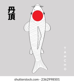 japanese koi fish vector illustration logo. There are Japanese characters for the name of the koi fish species in the corner of the picture, meaning TANCHO.