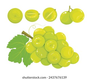 Conjunto de uvas de moscatel de brillo japonés o coreano