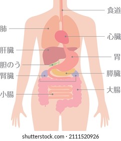 En japonés, "pulmón", "hígado", "vesícula biliar", "riñón", "intestino delgado", "intestino grueso", "estómago", "corazón"
es lo que se lee.